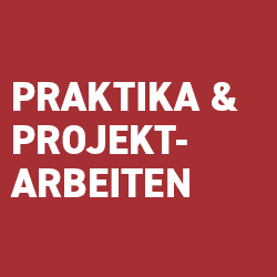 Praktika und Projektarbeiten